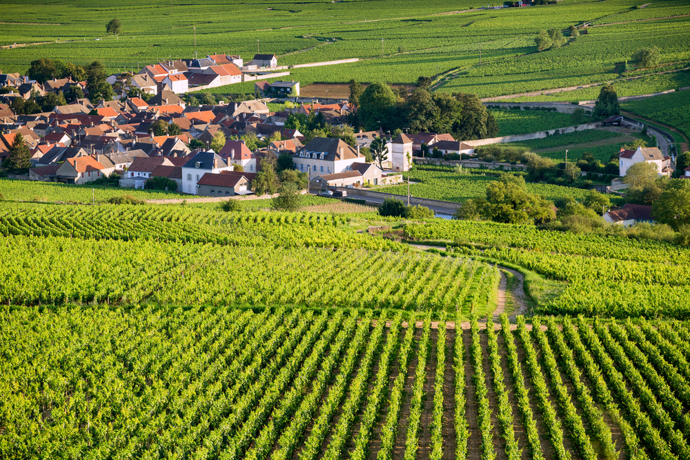 Hôtel Château de Challanges - Beaune (21) - France